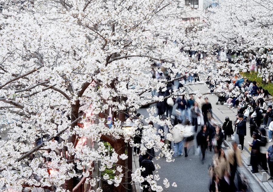 ประชากร 'ญี่ปุ่น' ลดลง 14 ปีติด ซ้ำเติมปัญหาขาดแคลนแรงงาน