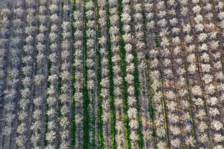 นักวิจัยอิสราเอลพัฒนา 'เครื่องมือ AI' ช่วยคาดการณ์ไฟป่าจากฟ้าผ่า