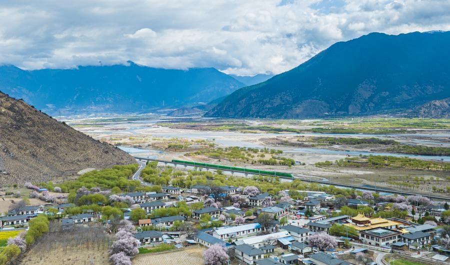 ม้าเหล็กวิ่งลัดเลาะผ่าน 'ดอกท้อ' ชมพูหวานแดนหลังคาโลก