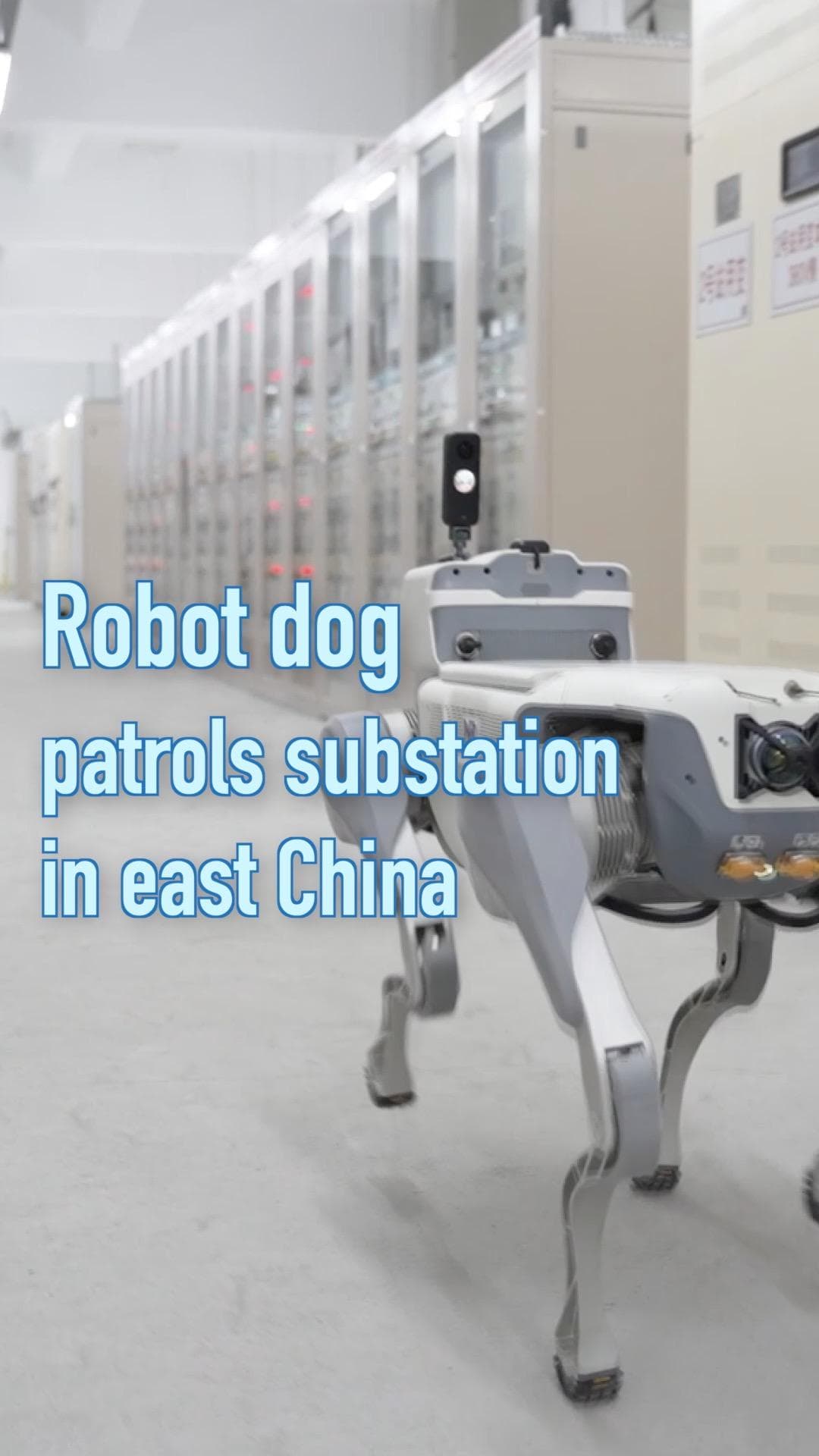 หุ่นยนต์สุนัขอัจฉริยะ' เดินตรวจสอบสถานีไฟฟ้าย่อยในฝูเจี้ยน