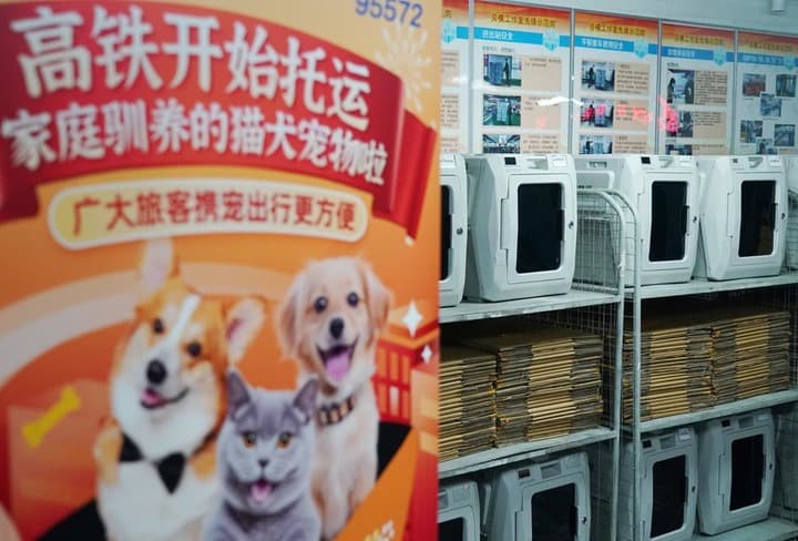 จีนผุดบริการใหม่ นั่งรถไฟเร็วสูงพร้อม 'สัตว์เลี้ยง