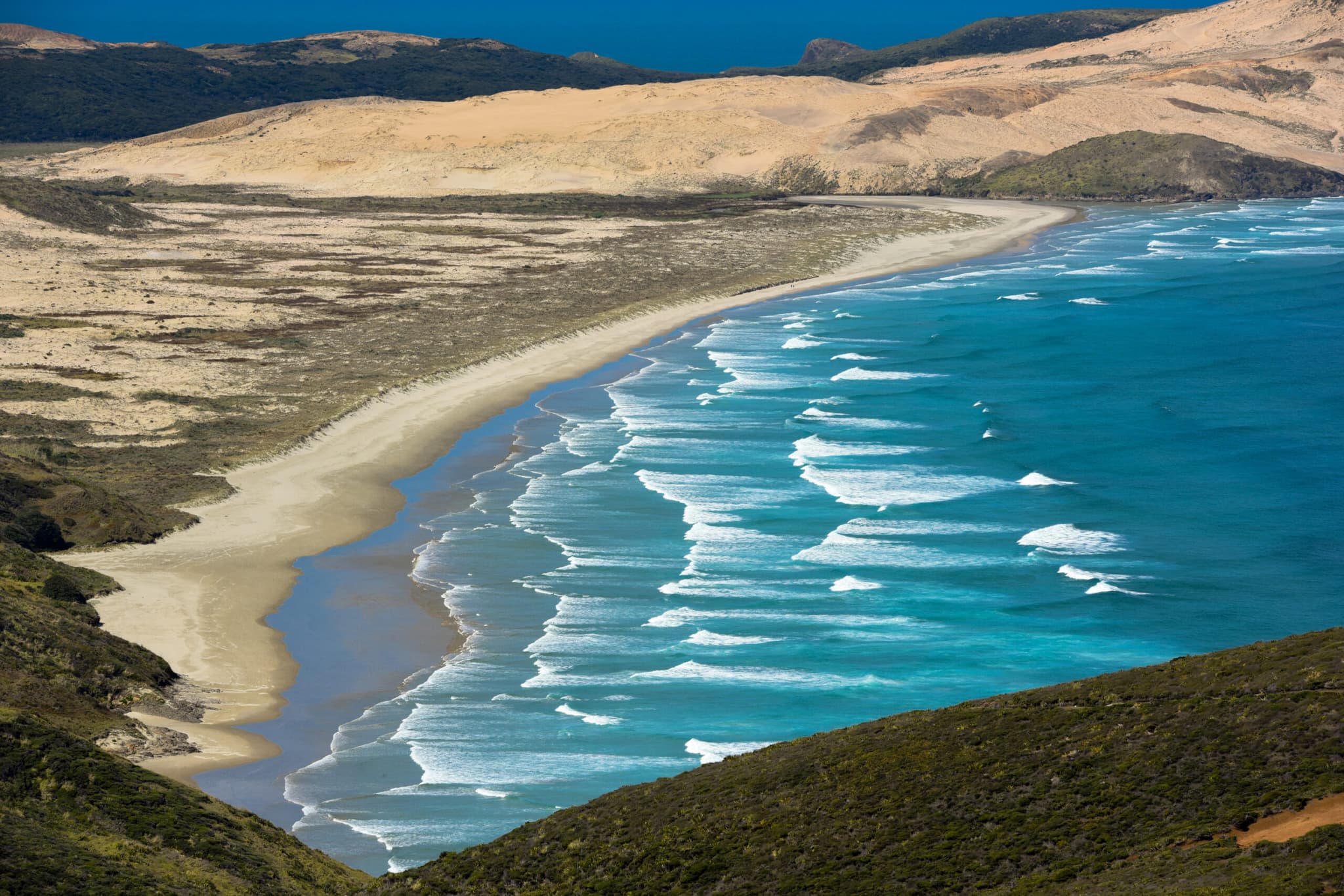 นิวซีแลนด์สร้างแผนที่ 'ทองคำจิ๋ว' เล็กสุดเท่า 1 ใน 5 ของเส้นผม ซุกซ่อนชายหาด