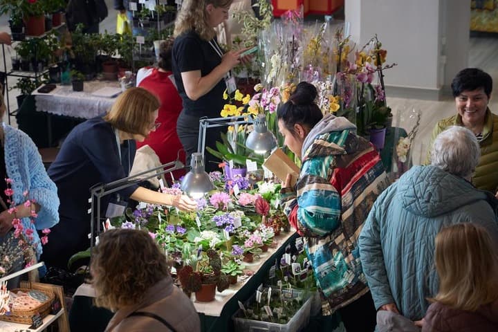 ผู้คนเที่ยวงาน 'ไม้ประดับบ้าน' หลากหลายในรัสเซีย