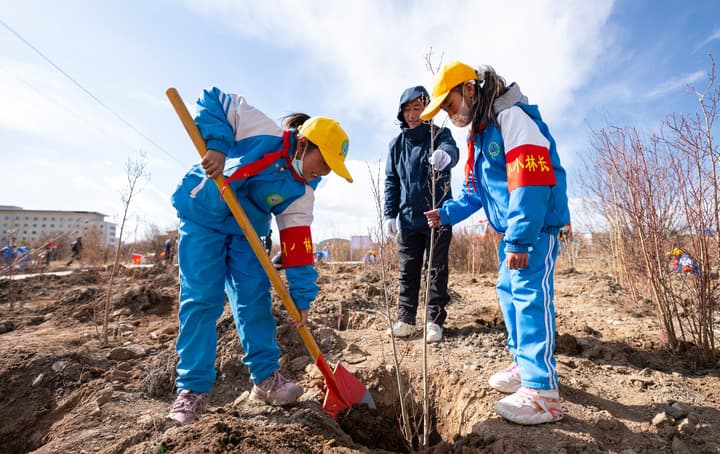 เมืองน่าชวี' ในทิเบต เดินหน้าทดลองปลูกต้นไม้หลากสายพันธุ์