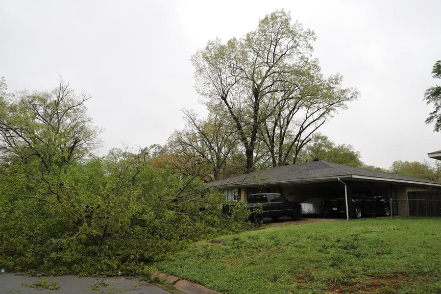ผลพวงพายุพัดถล่มเมืองลิตเติล ร็อกของสหรัฐฯ