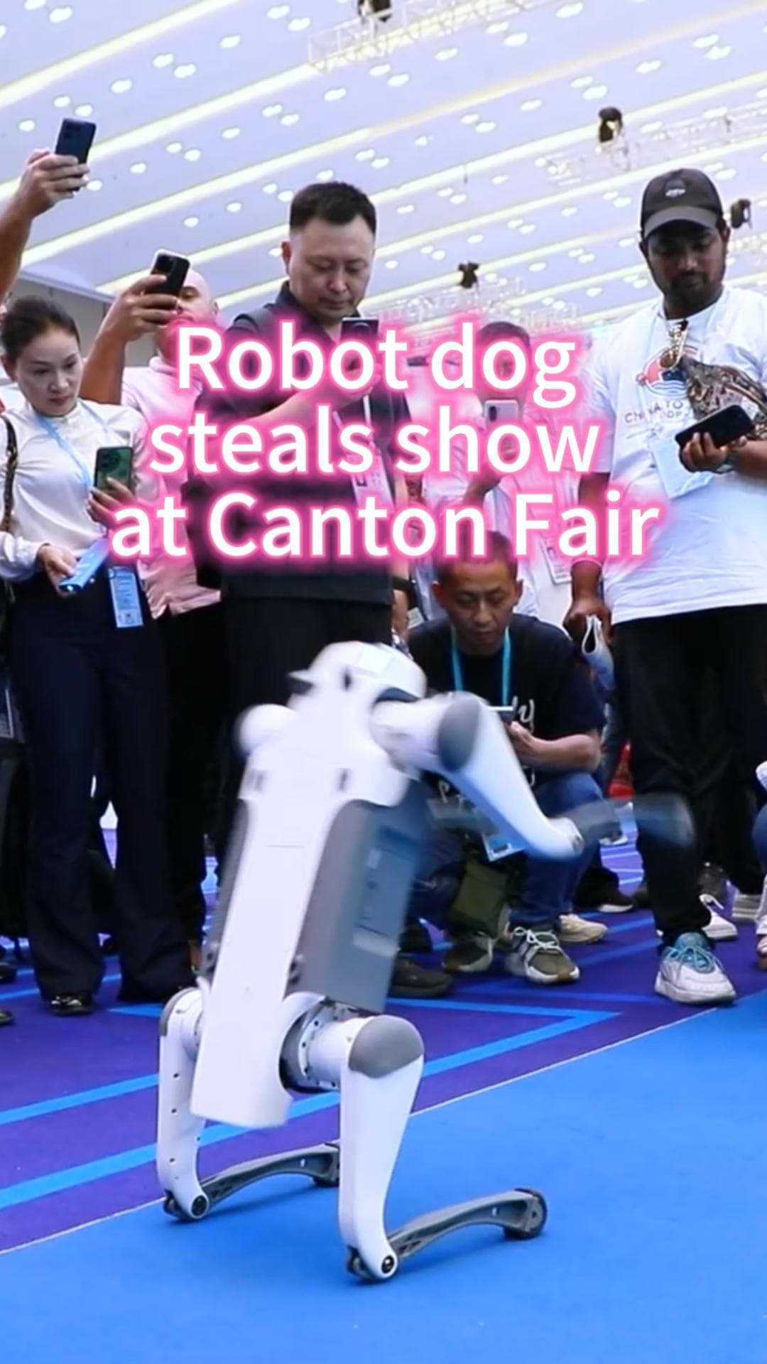 ขโมยซีน! 'หุ่นยนต์สุนัข' โชว์กระโดดตีลังกาในกว่างโจวแฟร์