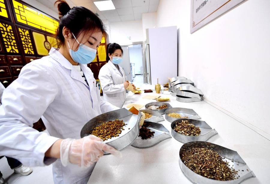 จีนยกเลิกแบน 'โคโรค' นำเข้า เอื้อเพิ่มวัตถุดิบแพทย์แผนจีน