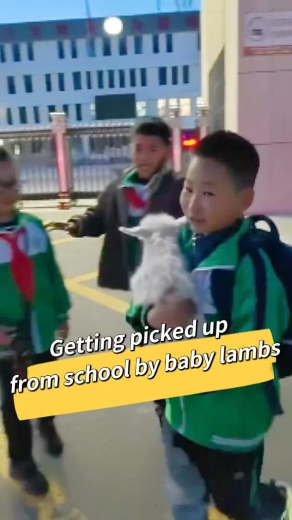 วันธรรมดาในมองโกเลียใน! ผู้ปกครองพา 'แพะ' มารับลูกที่โรงเรียน