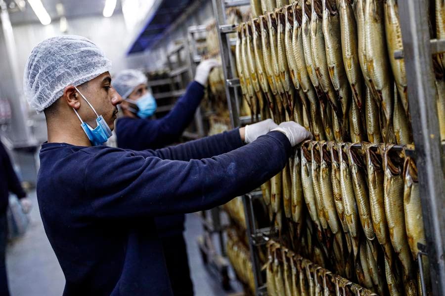 โรงงาน 'ปลาหมักเค็ม' เมนูฉลองเทศกาลสำคัญในอียิปต์