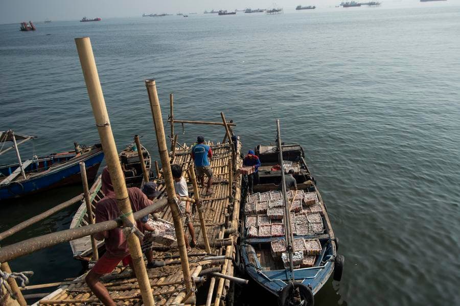 อินโดฯ จับกุมผู้ต้องสงสัย 101 ราย ทำประมงแบบ 'ทำลายล้าง