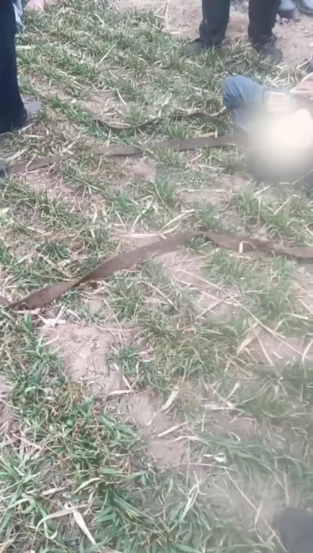 พลเมืองดีรุดช่วยชีวิต 'ผู้โดยสารรถยนต์ตกคลอง' ในเหอเป่ย