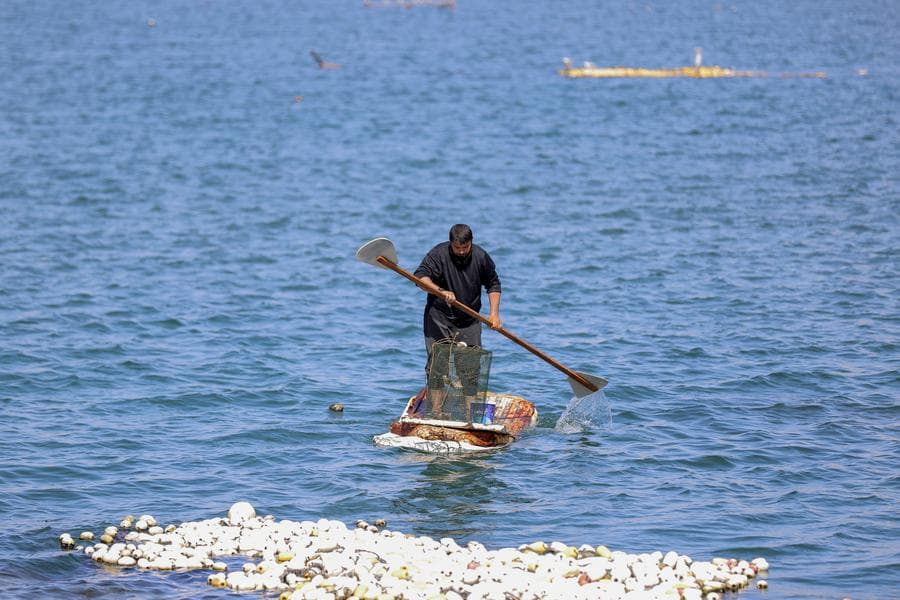 ชาวประมงในกาซาล่องแพลำน้อย จับสัตว์ทะเลหาเลี้ยงชีพ