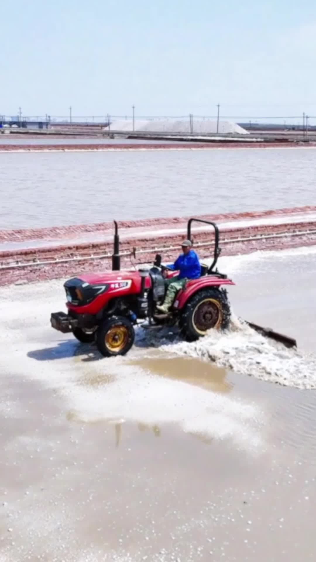 ฤดูเก็บโกย 'เกลือ' คุณภาพดีกลางนาเหลี่ยมในเทียนจิน