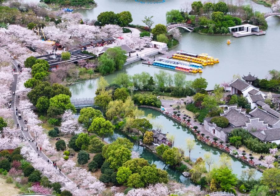 จีนคาดยอด 'เดินทางข้ามแดน' ช่วงหยุดเชงเม้ง เพิ่มขึ้น 21%