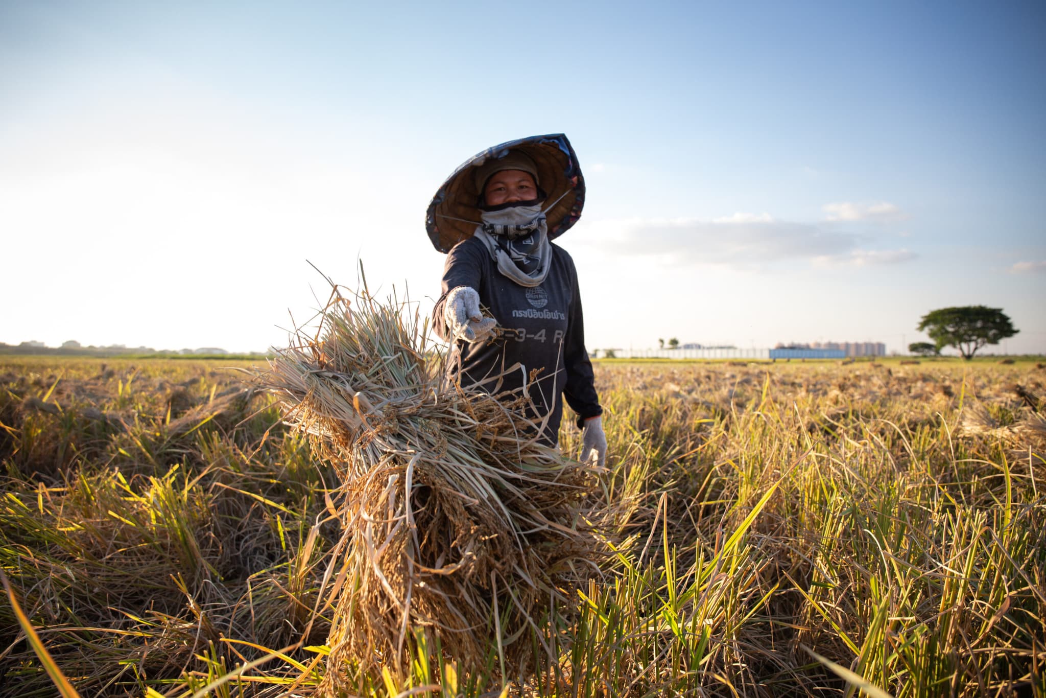 ลาวเล็งส่งแรงงานไปเกาหลีใต้เพิ่ม พัฒนาทักษะการเกษตร