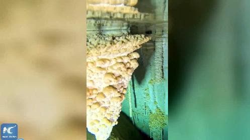 กุ้ยโจวพบ 'วังคริสตัล' อายุ 480 ล้านปี ซุกซ่อนใต้พิภพ