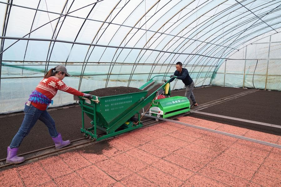 งานหว่านเพาะ 'เมล็ดพันธุ์' ฤดูใบไม้ผลิในเฮยหลงเจียง