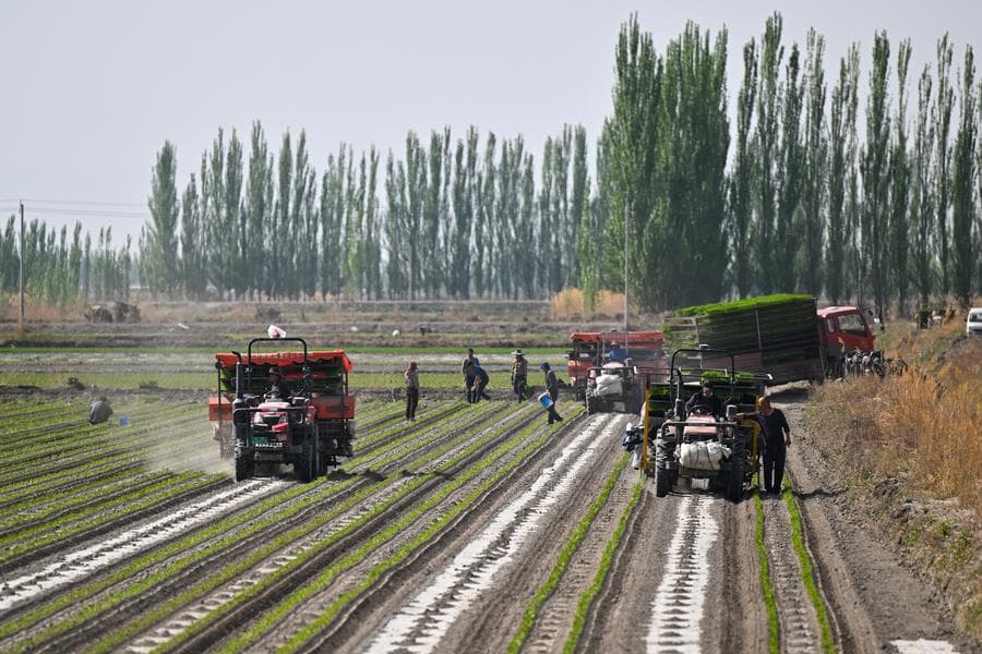 เกษตรกรสตาร์ต 'เครื่องจักรอัจฉริยะ' ลุยงานปลูกพริก-มะเขือเทศ