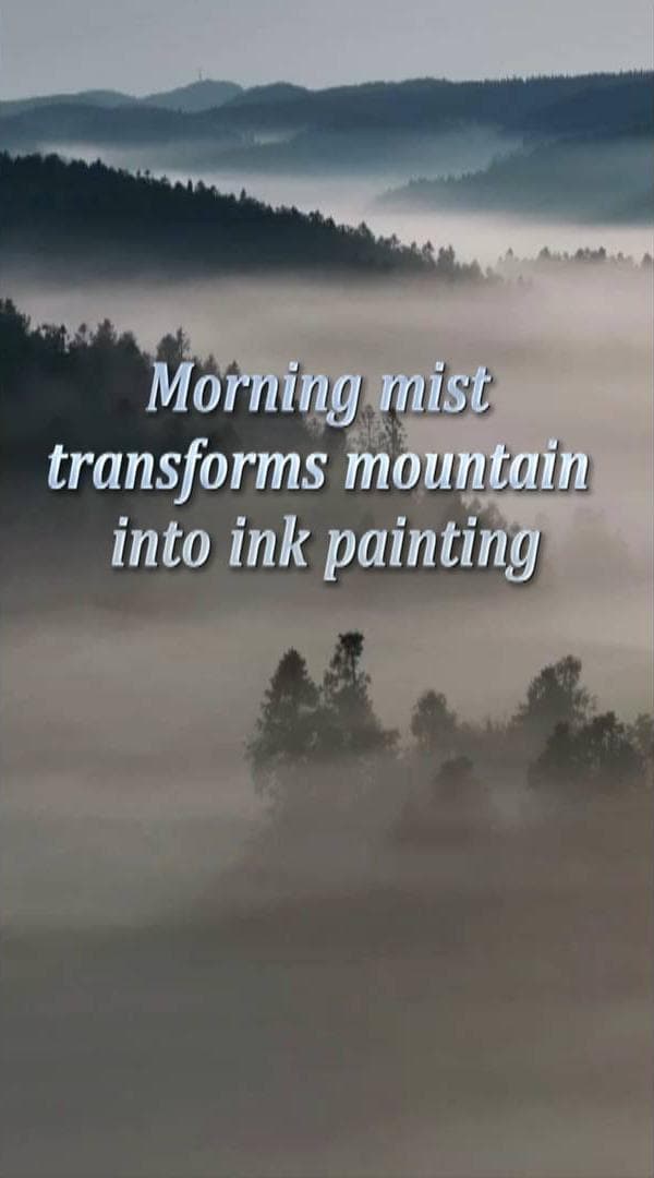 ม่านหมอกเช้าเปลี่ยน 'ภูเขานางฟ้า' ให้งามดุจภาพวาดน้ำหมึกจีน