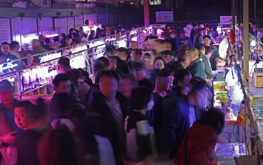 ส่องศูนย์ซื้อขาย 'ปลาสวยงาม' ครบวงจรในเหลียวหนิง