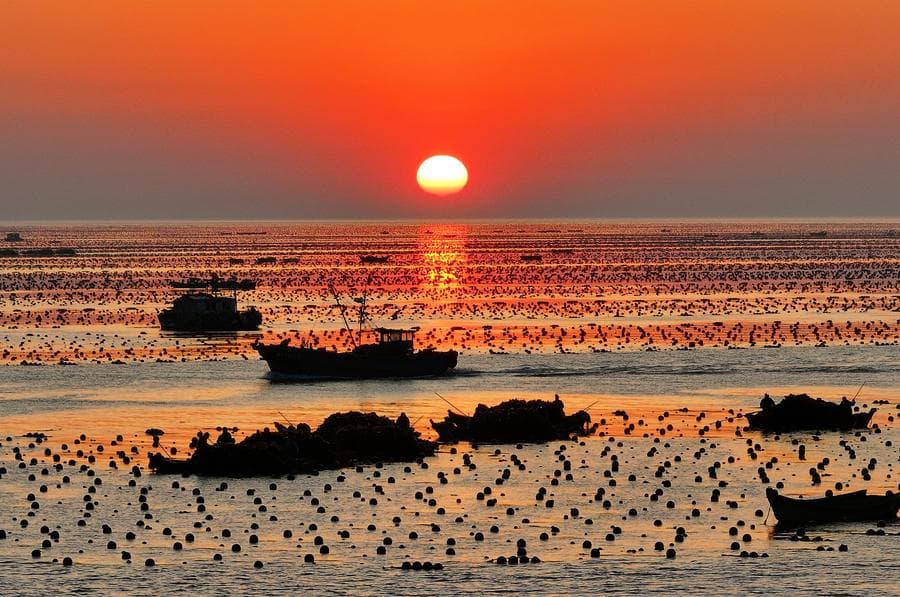 ชาวประมงลอยลำทำฟาร์มทะเลในซานตง