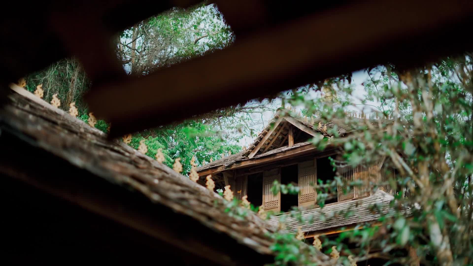 หญิงกลุ่มชาติพันธ์ไทเกล้า 'มวยผมนกยูง' ต้อนรับเทศกาลสาดน้ำในยูนนาน