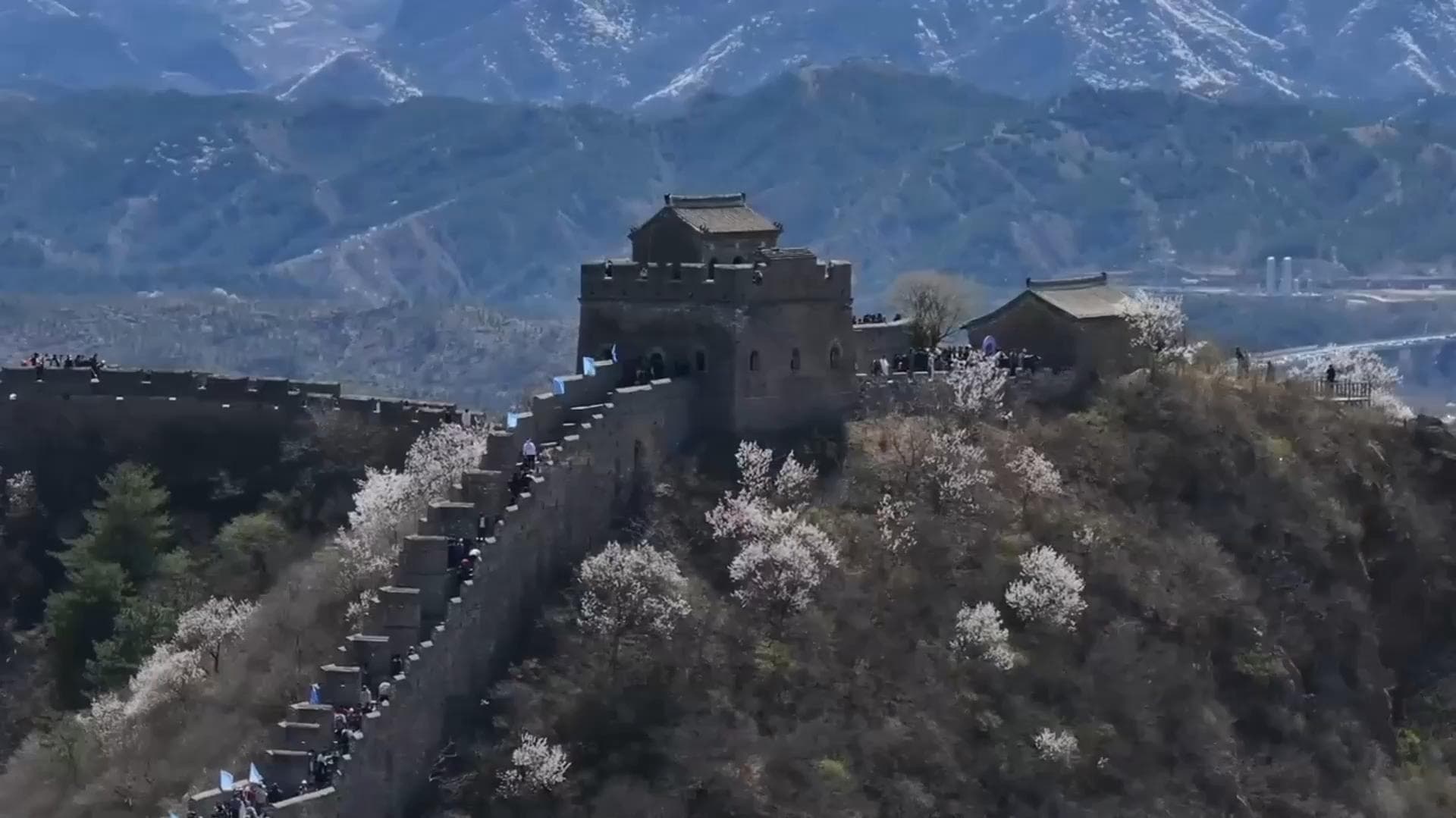 GLOBALink : 'กำแพงเมืองจีน' ด่านจินซานหลิ่ง ดึงดูดนทท.ต่างชาติช่วงเทศกาลดอกไม้