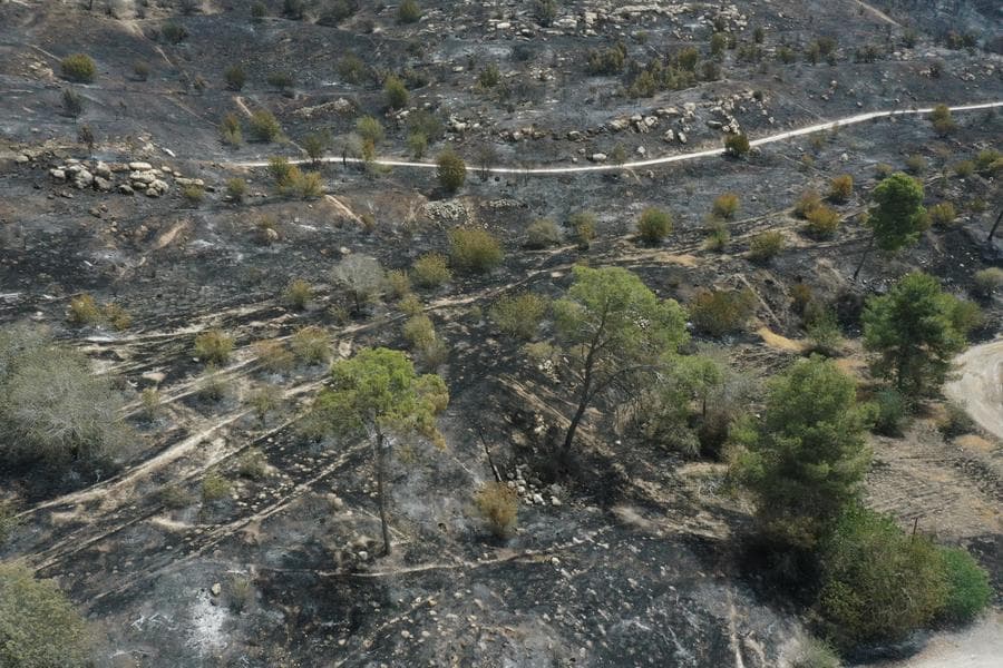 ไฟป่าครั้งรุนแรงเผาผลาญเขตอนุรักษ์ในเยรูซาเล็ม