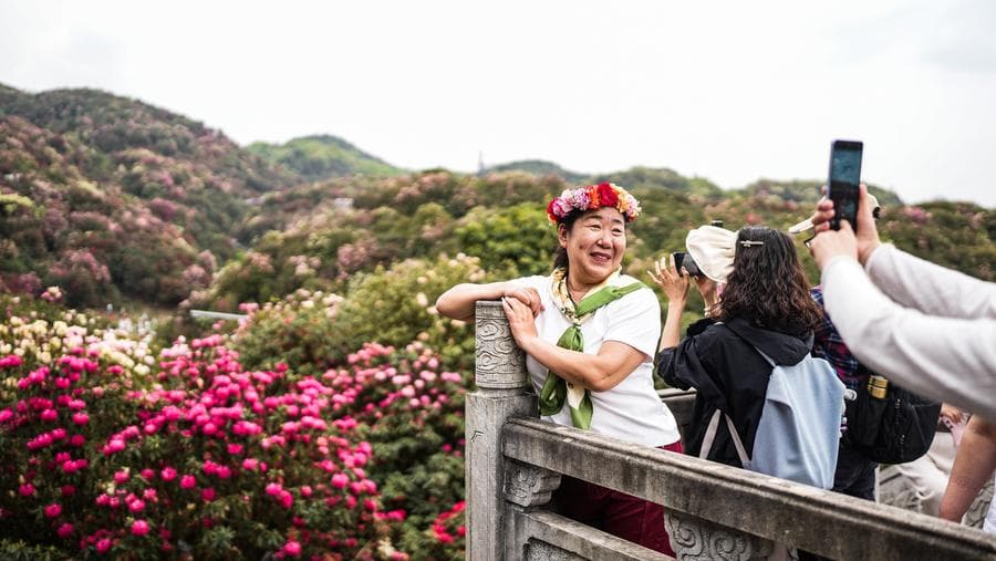 นทท.เยี่ยมชม 'กุหลาบพันปี' บานละลานตาในกุ้ยโจว