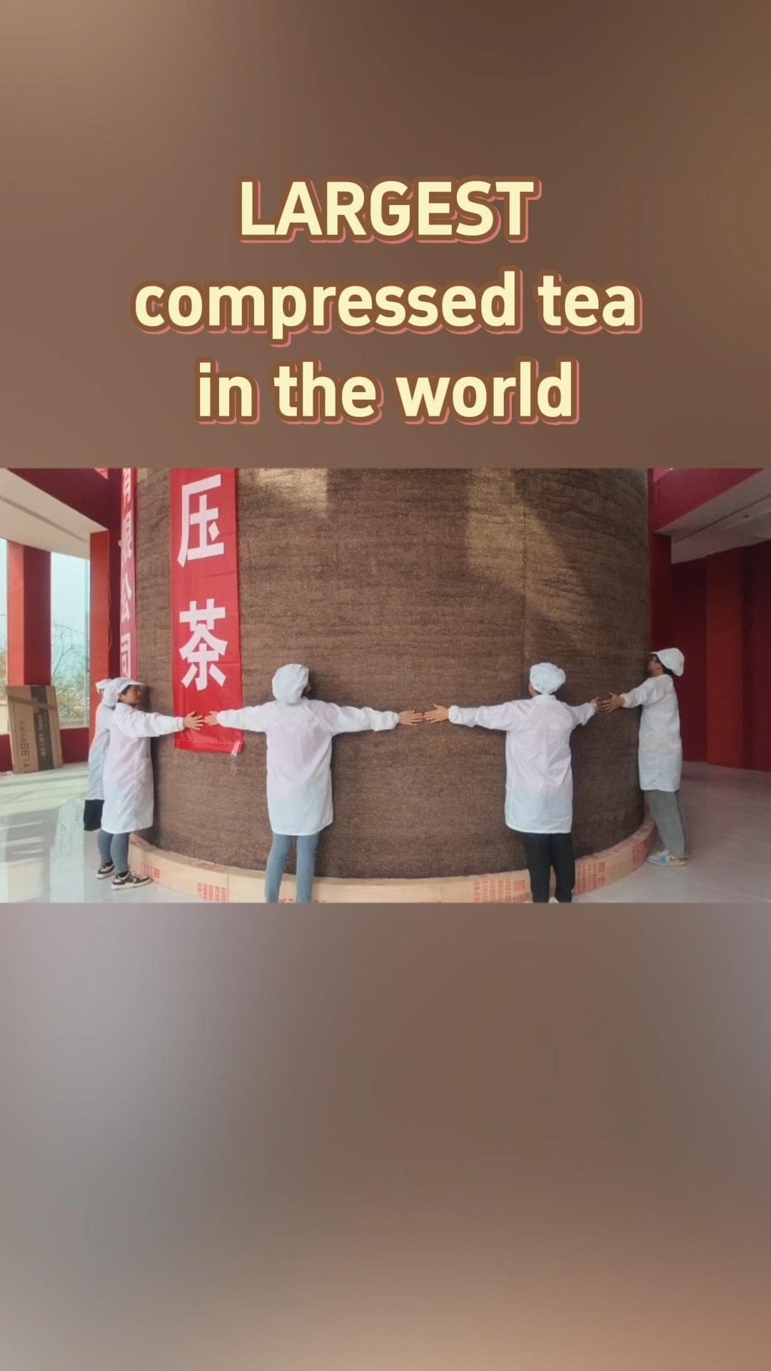 จีนสร้างสถิติ 'ชาอัดก้อน' หนักสุดในโลกกว่า 150 ตัน