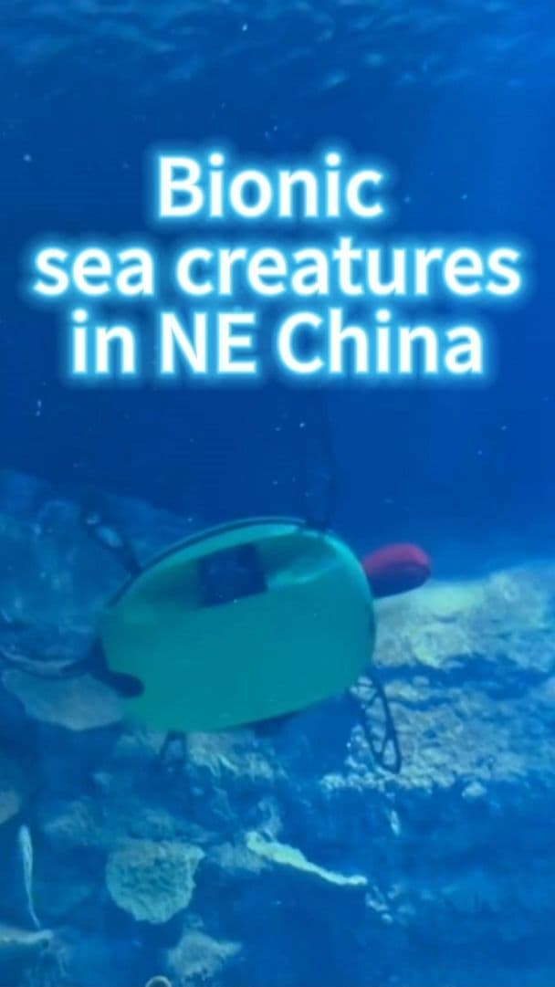ดำดิ่งสู่อนาคตกับ 'หุ่นยนต์สัตว์ทะเล' ช่วยงานใต้น้ำในเหลียวหนิง
