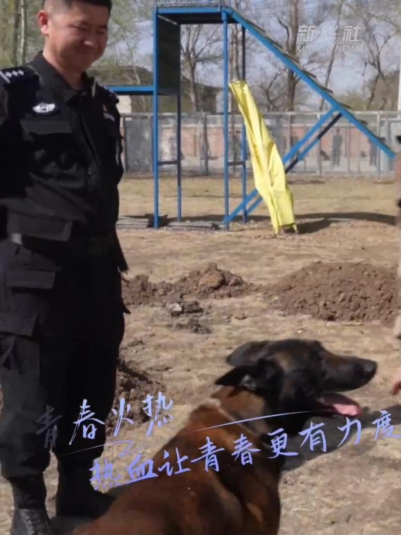 ไม่ใช่เพื่อนร่วมงานแต่คือครอบครัว ส่องชีวิตผู้พิทักษ์สี่ขา ณ ศูนย์ฝึกสุนัขตำรวจในฉางชุน