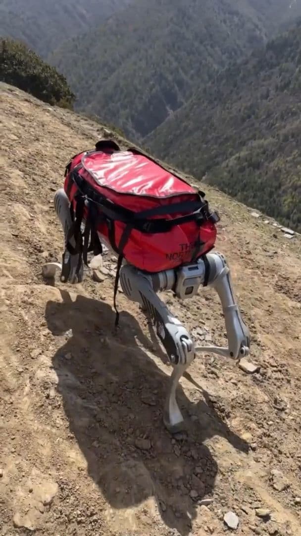 หุ่นยนต์สุนัข' ช่วยขนของขึ้นเขาสี่ดรุณีในเสฉวน