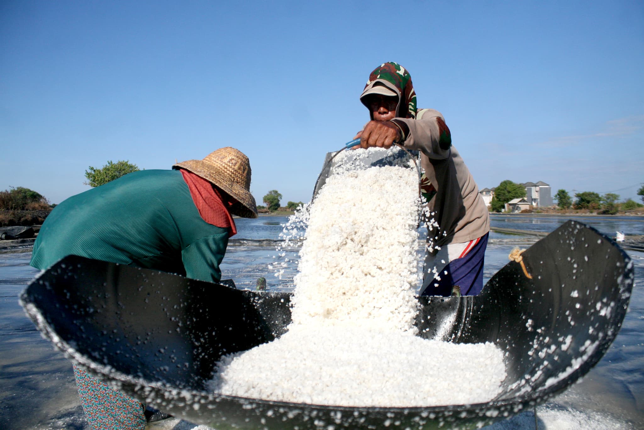 อินโดฯ จ่อผุดโครงการ 'นาเกลือ' ขนาดใหญ่ หวังพึ่งตนเองด้านผลิตเกลือ