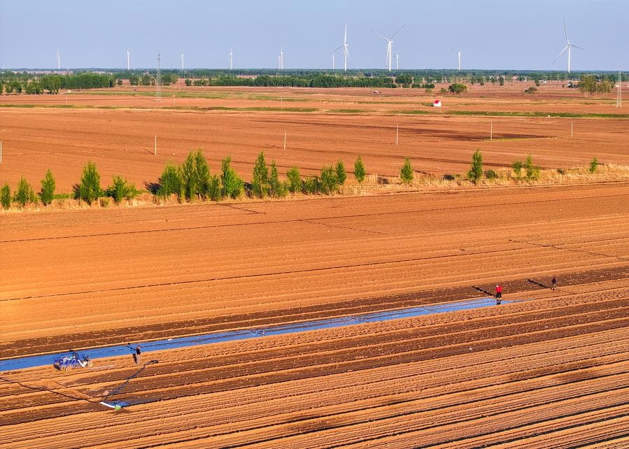 เกษตรกรลุยงานหว่านเมล็ด 'ข้าวโพด' ในทงเหลียว