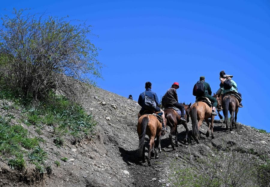 สำรวจวิวสวยกลางอุทยาน 'ทะเลสาบคอลไซ' ในคาซัคสถาน