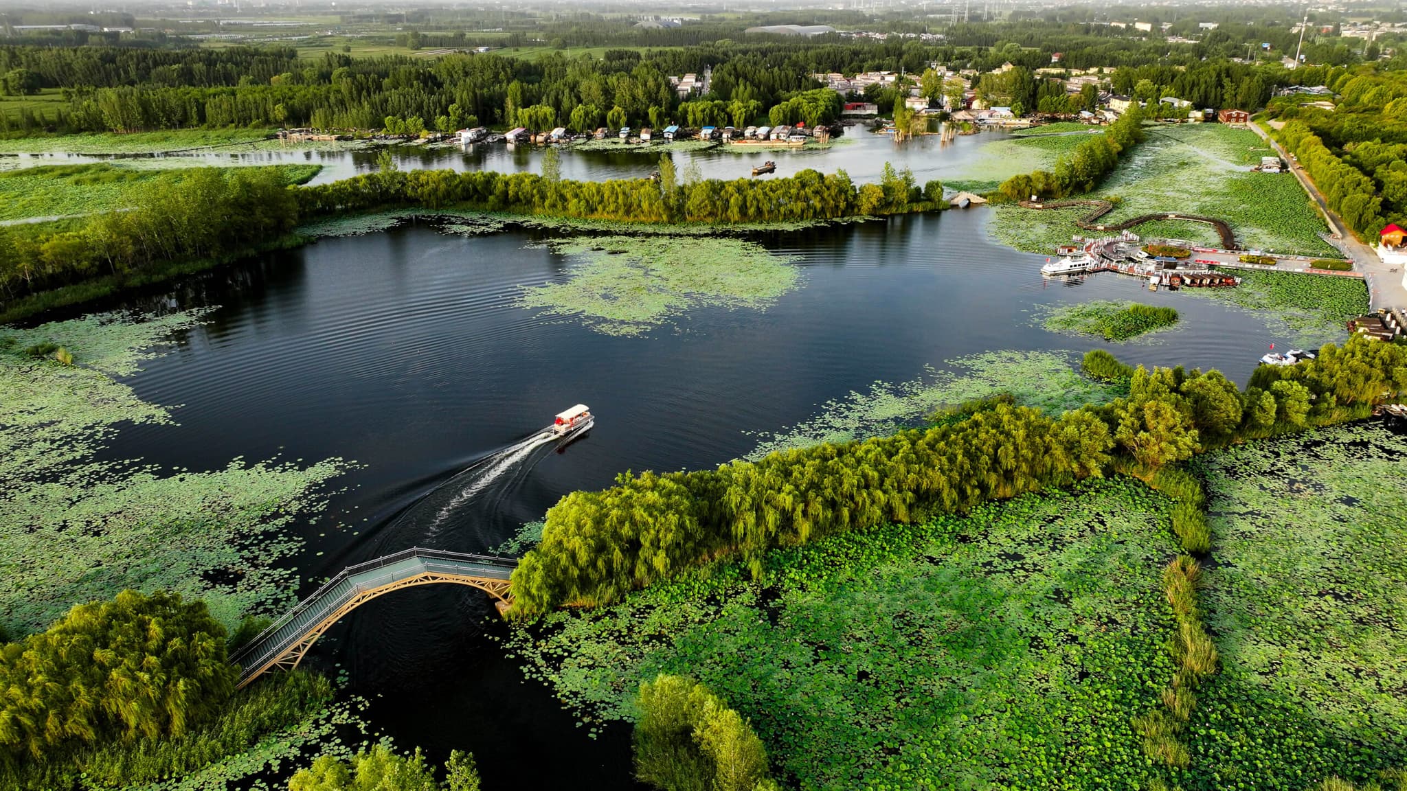 จีนเปิดตัวแพลตฟอร์มดิจิทัล 'ความหลากหลายทางชีวภาพในเขตร้อน' แห่งแรก