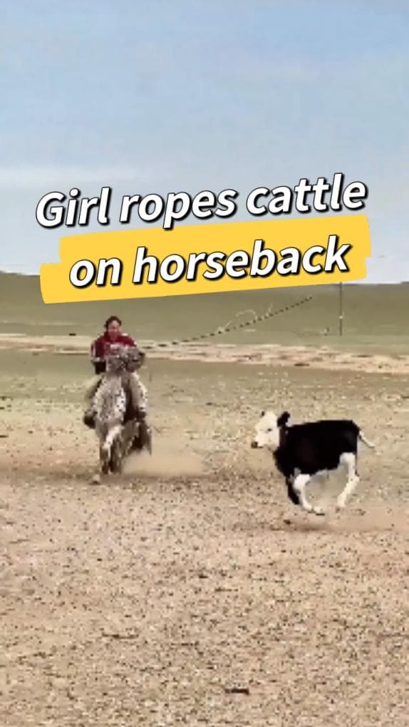 เด็กสาววัย 15 ขี่ม้าคล้องวัว ฝึกฝีมือกลางทุ่งหญ้ามองโกเลียใน
