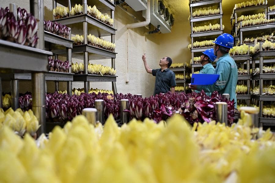 อำเภอในเหอเป่ยหนุนบ.ท้องถิ่นติดตั้ง 'แผงโซลาร์เซลล์' บนหลังคา