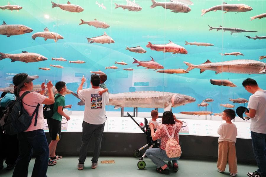 ยอดเข้าชม 'พิพิธภัณฑ์' ในจีน ช่วงหยุดวันแรงงาน พุ่งสูงเป็นประวัติการณ์