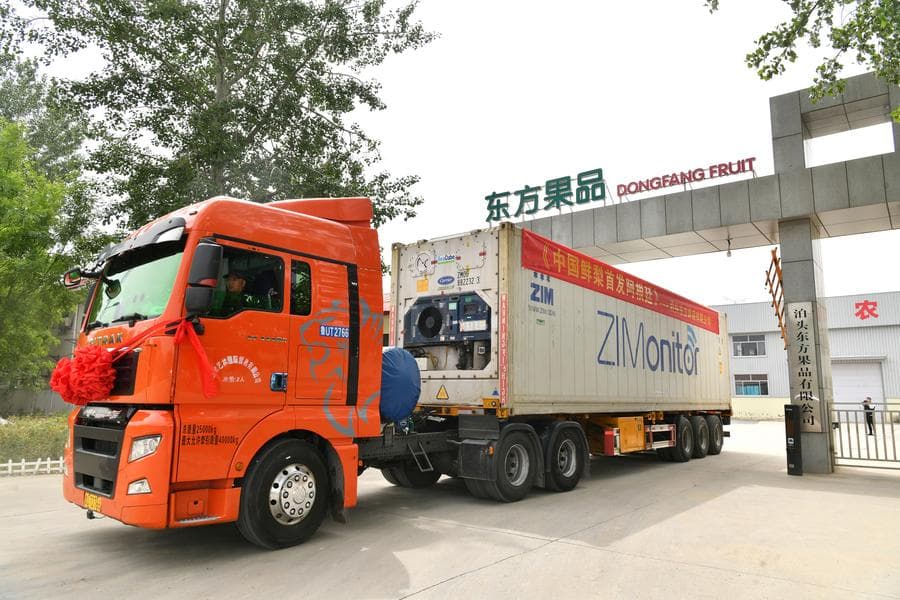 เหอเป่ยส่งออก 'สาลี่สด' สู่อาร์เจนตินาครั้งแรก