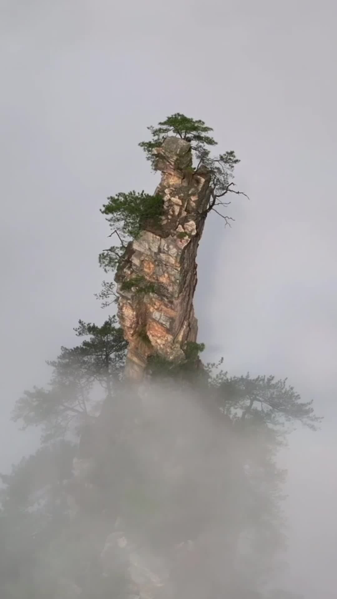 เมฆหมอกล้อม 'ภูเขาอวตาร' งามตระการตาในจางเจียเจี้ย