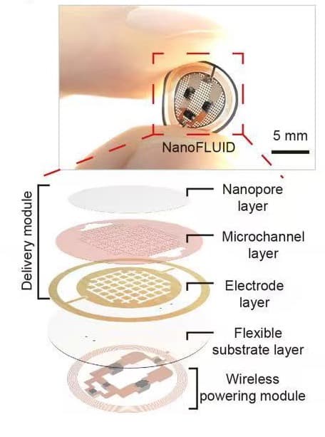 นักวิจัยจีนพัฒนา 'แผ่นแปะ' อัจฉริยะ ส่งยาสู่อวัยวะแม่นยำ