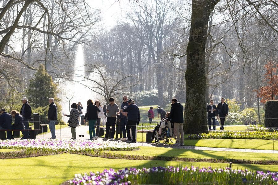 หอสมุดเนเธอร์แลนด์ขอปชช.ช่วยตามหา 'หนังสือหายาก' ถูกขโมย