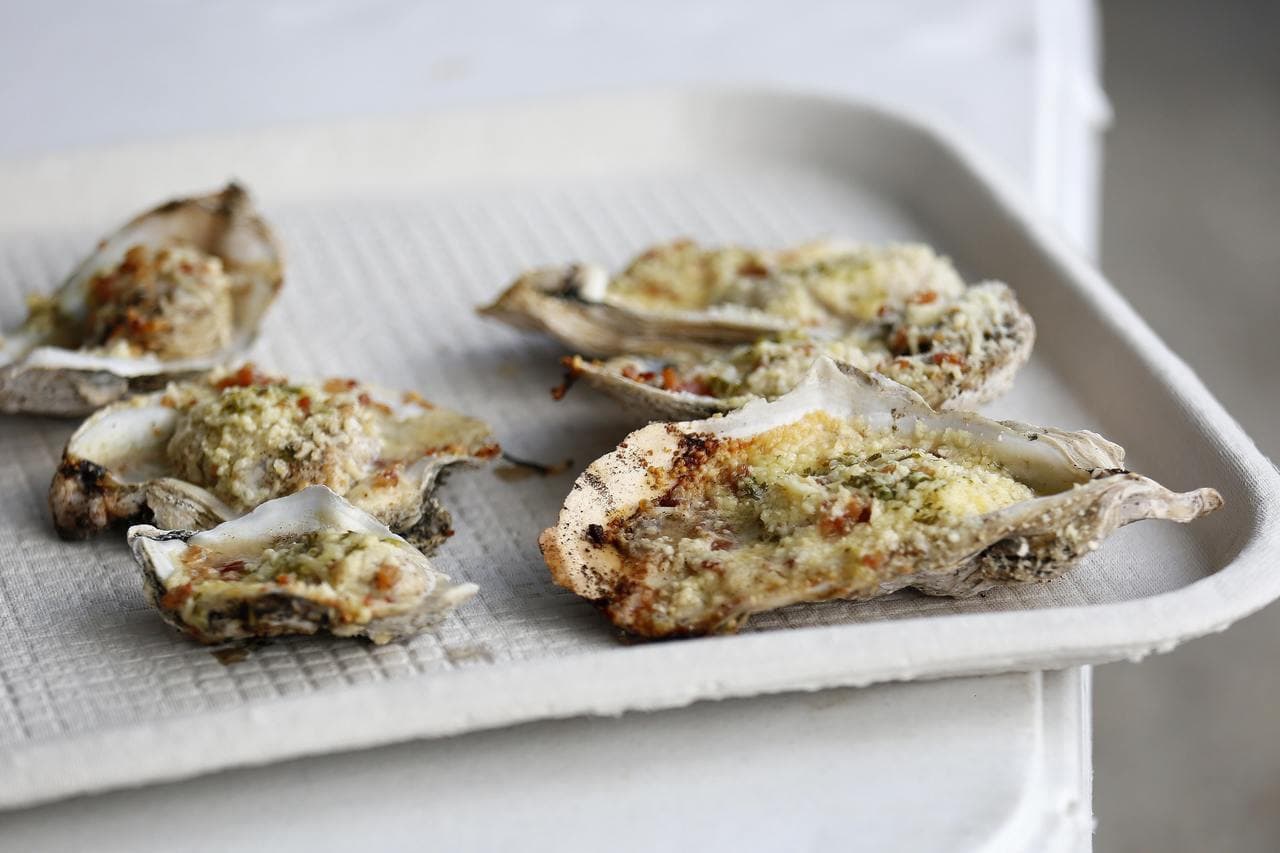 แคลิฟอร์เนียเตือน! ห้ามกินหอยจากธรรมชาติ เหตุสาหร่ายพิษระบาด สัตว์ทะเลตายแล้วหลายพัน