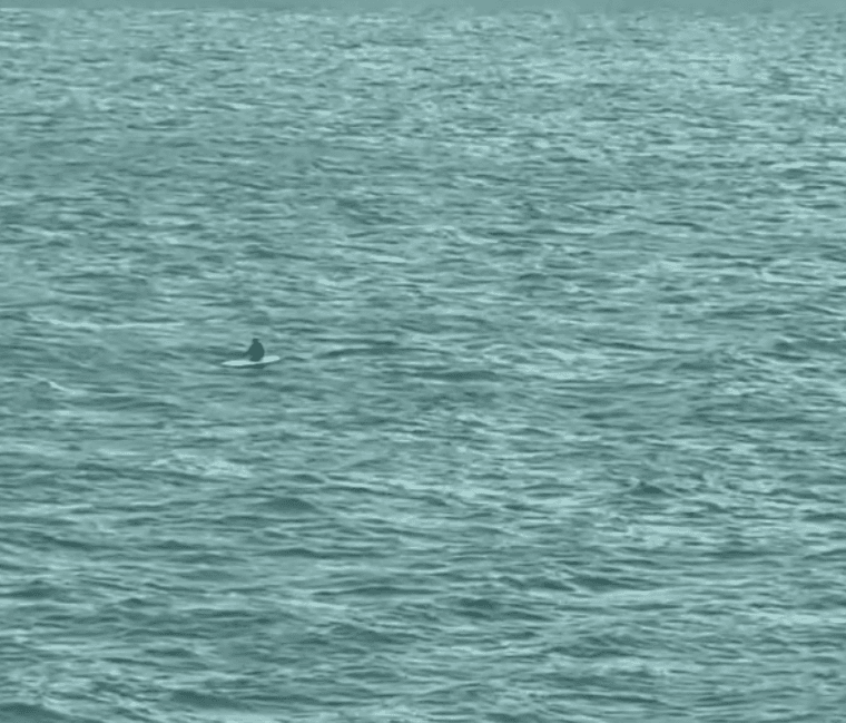 กู้ภัยจีนช่วยชีวิตเด็ก 10 ขวบ ติดบน 'แพดเดิลบอร์ด' กลางทะเล 5 ชม.