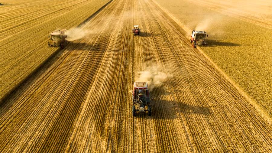 FAO คาด 'รัสเซีย' ยังส่งออก 'ข้าวสาลี' อันดับหนึ่งในโลก