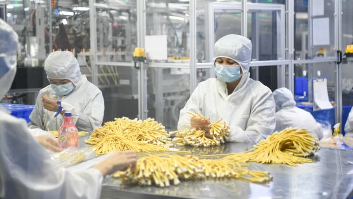 จีนมุ่งปราบการประพฤติผิดในธุรกิจการแพทย์