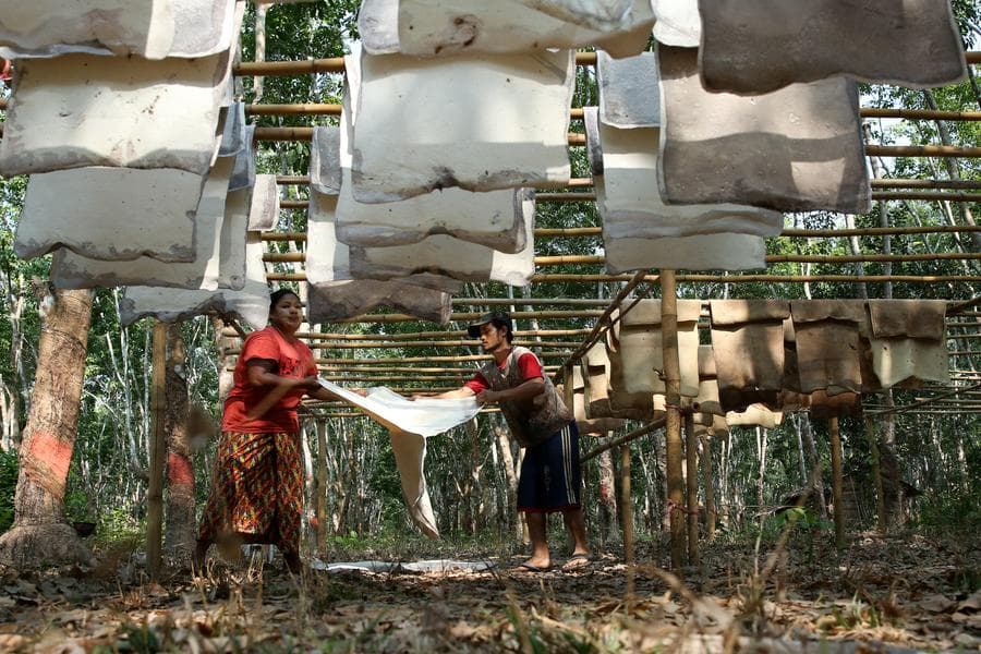 เมียนมาตั้งเป้าส่งออก 'ยางพารา' ทะลุ 3.5 แสนตัน