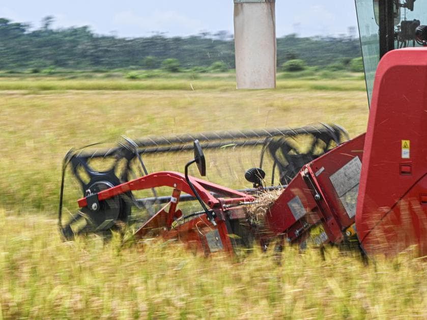 ไหหลำลุยเกี่ยว 'ข้าว' มุ่งดันสินค้าเกษตร ฟื้นฟูชนบทเติบโต
